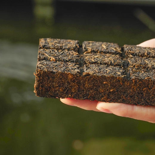 马上转运// 限定 19年老熟普 2007年谭梅九九茶砖 宣纸手工包装 商品图5