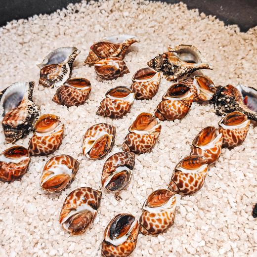 【吃断】青漫烧鸟音乐餐吧盛大开业！2-3人招牌套餐88元开吃，限前100份 商品图9