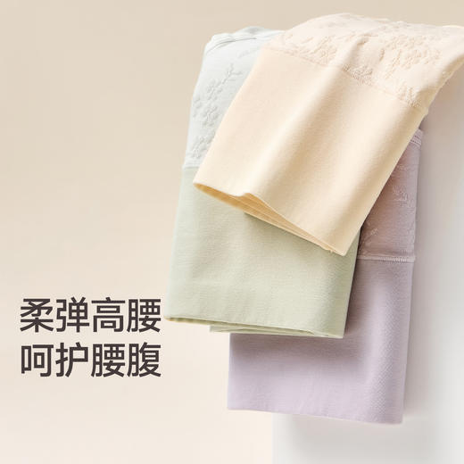 芬腾女士内裤10A级抗菌棉质裆高腰棉质三角裤透气舒适大码短裤头 商品图2