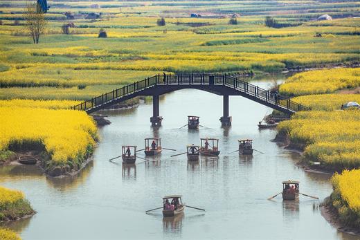 水墨江南·光影寻踪 镇江金山寺+扬州瘦西湖+兴化垛田油菜花+野鹿荡盐城5天 商品图3