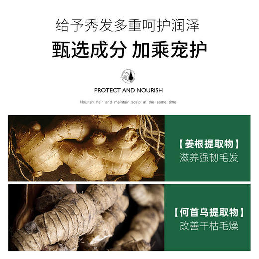 泊蝶老姜头发护理液柔顺抚躁女士免洗护发头部护理厂家现货批发 商品图3