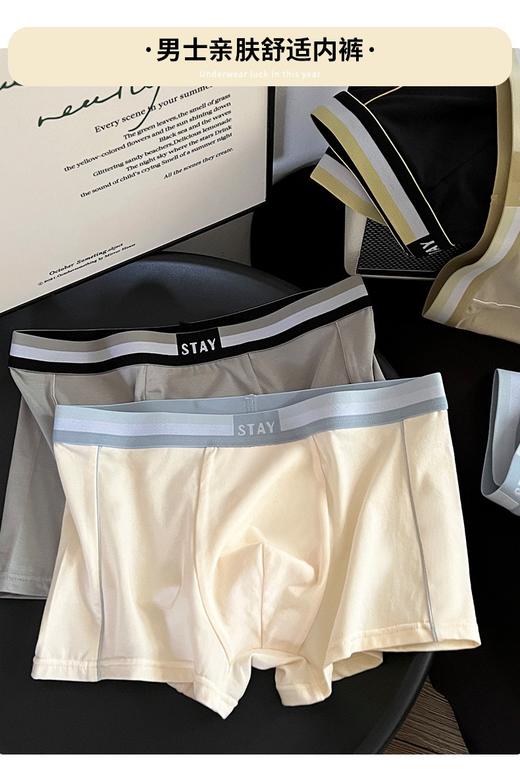 【GZ】无忧购26年春季1条25元/2条39元/55元3条撞色腰头字母条纹时尚男士透气内裤9785（截单后3-5天发货) 商品图9