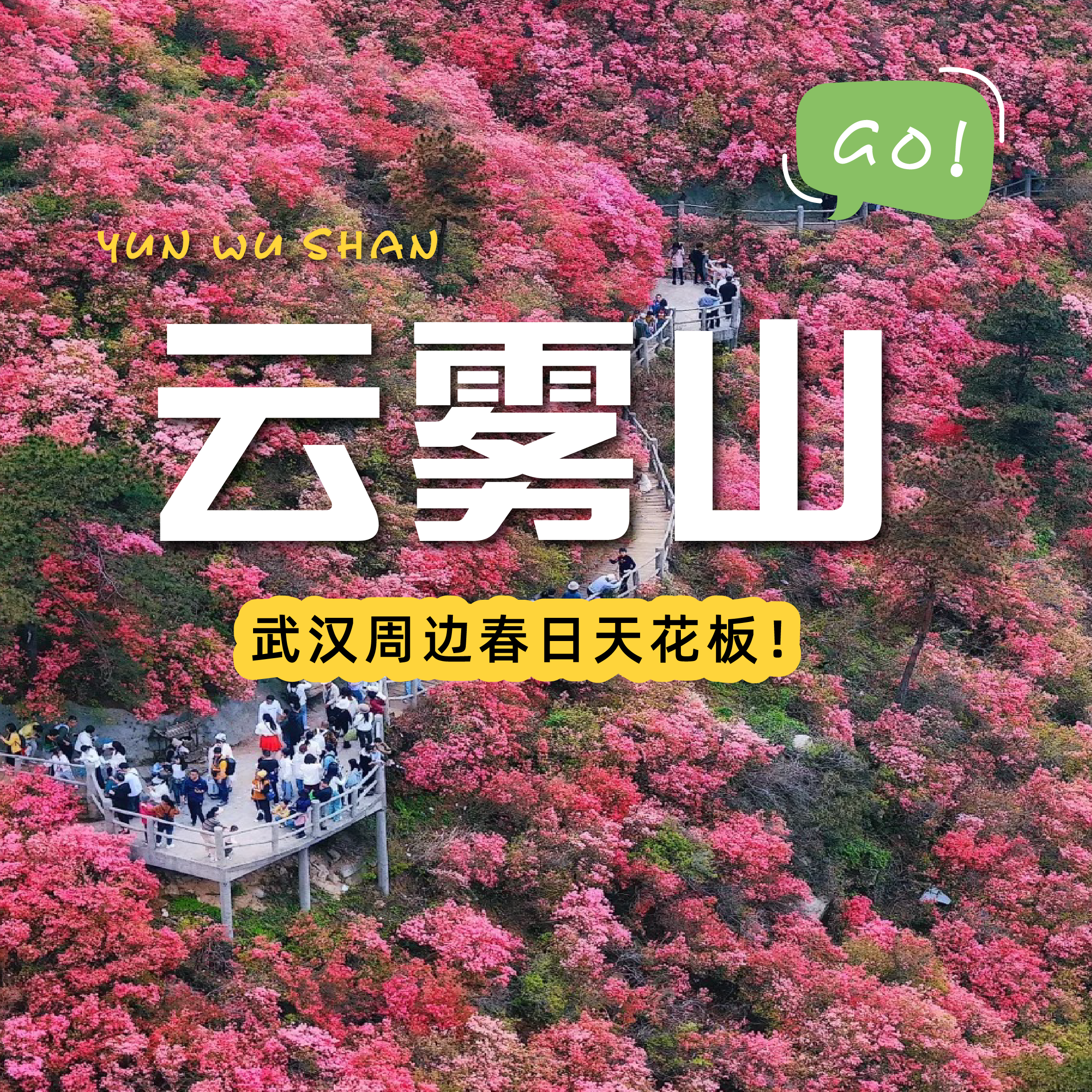 【武汉出发丨木兰云雾山一日游】一场视觉、嗅觉、触觉的全方位春日杜鹃盛宴