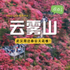 【武汉出发丨木兰云雾山一日游】一场视觉、嗅觉、触觉的全方位春日杜鹃盛宴 商品缩略图0