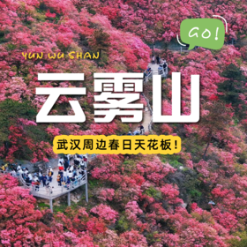 【武汉出发丨木兰云雾山一日游】一场视觉、嗅觉、触觉的全方位春日杜鹃盛宴