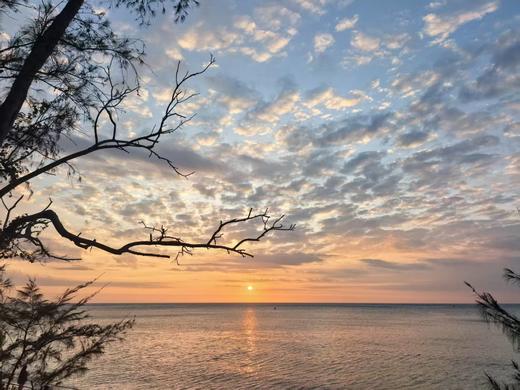 写作课每日练习大本营·四年级 商品图0