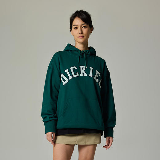 Dickies卫衣 宽松百搭字母贴布绣美式连帽毛圈布卫衣DK013104 商品图8