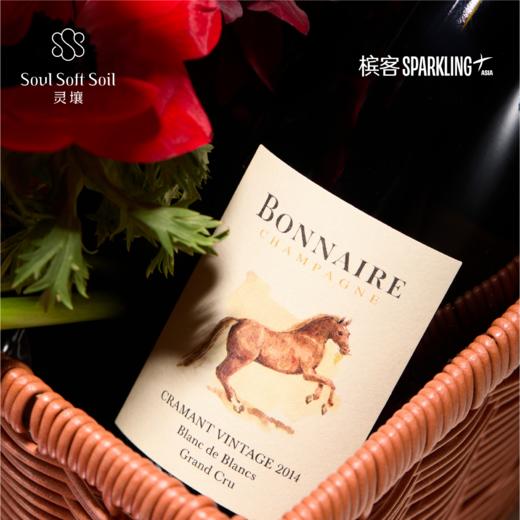 「上海同城 槟客 · 灵壤 宝奈儿马年香槟花篮 当天预定次日发」Champagne Bloom Basket (Bonnaire Cramant Vintage 2014) 商品图6