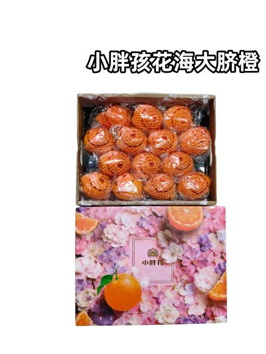 小胖孩花海大脐橙   整箱净重8斤 商品图0