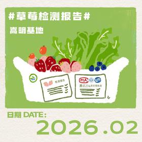 2026年2月-草莓检测报告(嵩明)