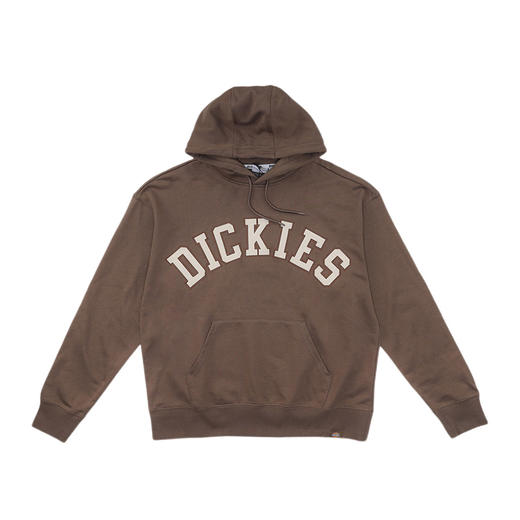 Dickies卫衣 宽松百搭字母贴布绣美式连帽毛圈布卫衣DK013104 商品图5
