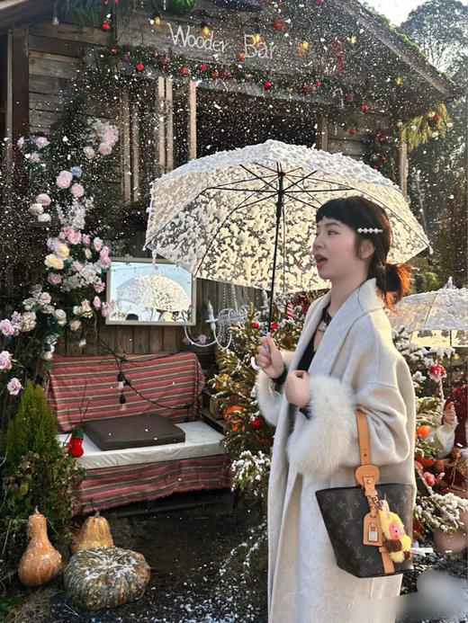 Lv 老花 All IN BB 斜挎包 商品图3