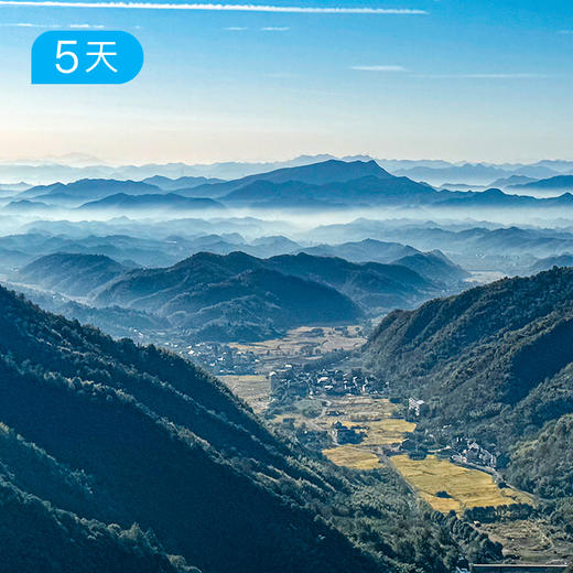 春季安吉+临安｜ 浙江天目山脉 28公里轻徒步 采春茶挖春笋 16人小团 5日 商品图3