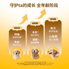 【新品试吃】布兰德全价宠物鱼油鲜鲜犬粮试吃装 商品缩略图3
