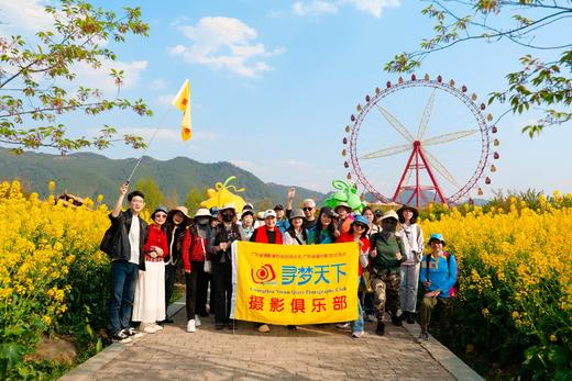 贵州平坝樱花、黄蜡樱花、金海雪山、青岩古镇、字龙田油菜花5天 商品图6