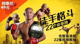 徒手格斗22个必杀技【在线观看，无需发货】