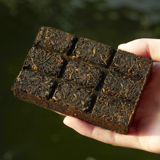 马上转运// 限定 19年老熟普 2007年谭梅九九茶砖 宣纸手工包装 商品图7