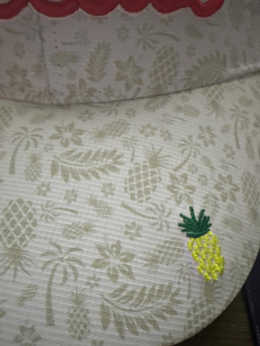 TIT帽子，刺绣菠萝印花，百搭款A221031 商品图1