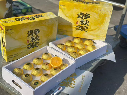 冬季新品，静秋棠-冰糖甜桔柚上市。海拔2000米高山硒土种植，冰糖口感，像吃甜橘子一样爽嫩清火、 商品图9