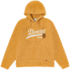 Dickies卫衣 时尚款连帽仿羊羔绒卫衣男女同款情侣款11263 商品缩略图1