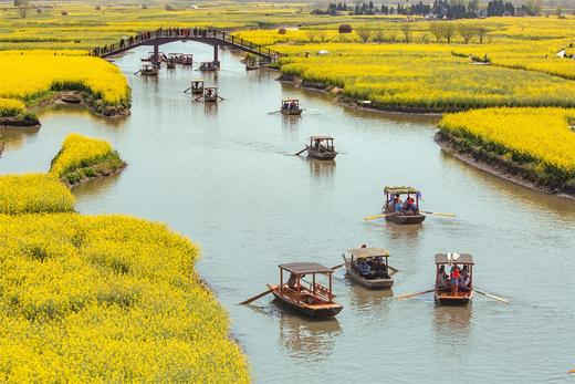 水墨江南·光影寻踪 镇江金山寺+扬州瘦西湖+兴化垛田油菜花+野鹿荡盐城5天 商品图2