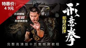形意拳攻防教学【在线观看，无需发货】