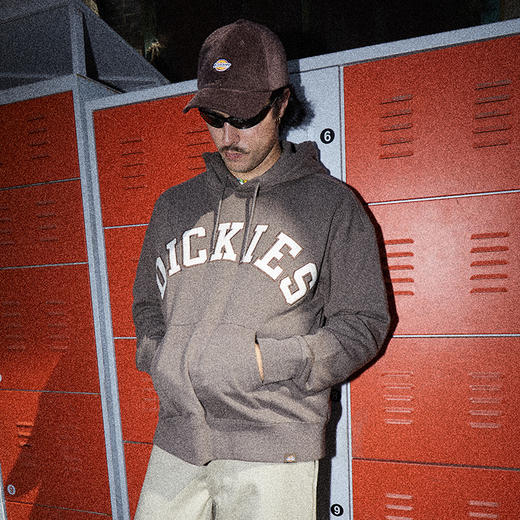 Dickies卫衣 宽松百搭字母贴布绣美式连帽毛圈布卫衣DK013104 商品图9