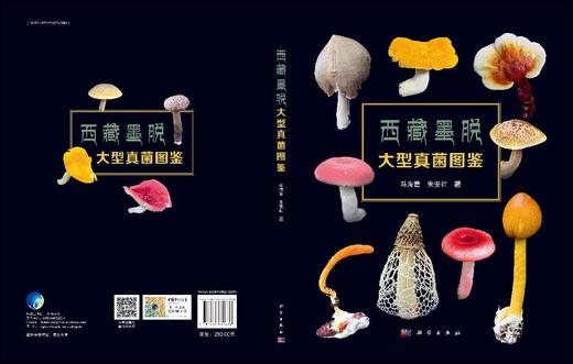 西藏墨脱大型真菌图鉴 商品图3