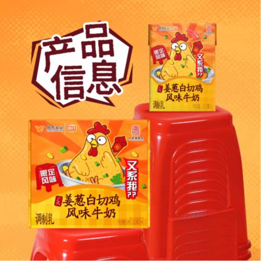 风行 广式姜葱白切鸡风味 牛奶调制乳200ml×6盒（箱装） 商品图6