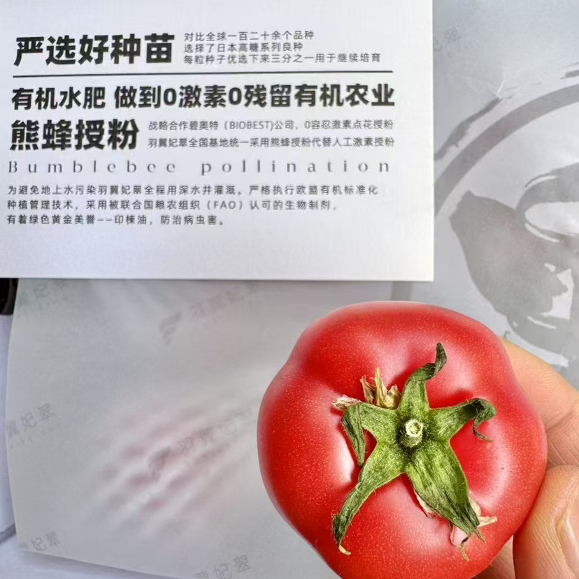 草莓野番茄 纯有机 有籽的番茄才是真正的原生态！0激素0农残，有机水肥，雄蜂授粉！