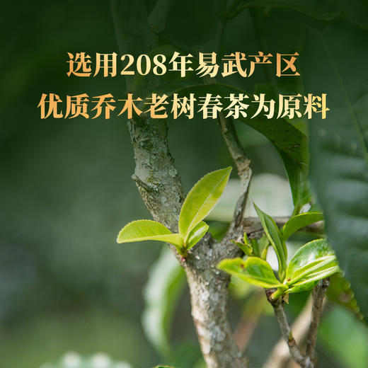 双陈普洱2006年幸福大砖熟茶1000克国民口粮茶18年陈易武老料顺滑甜 商品图1