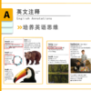 DK英文图解大词典，用图学英语，DK词典天花板，可点读！ 商品缩略图1