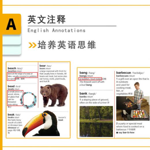 DK英文图解大词典，用图学英语，DK词典天花板，可点读！ 商品图1