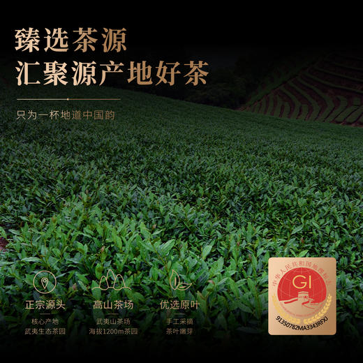 【顺丰春季茶礼】茶叶 正山小种 红茶  茶叶礼盒 年货茶礼 茶饮 华源 500g 商品图7