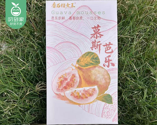 广东胭脂红芭乐（1.1kg±50g/盒 6-8颗） 商品图4
