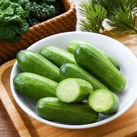 一指馋黄瓜 200g/份