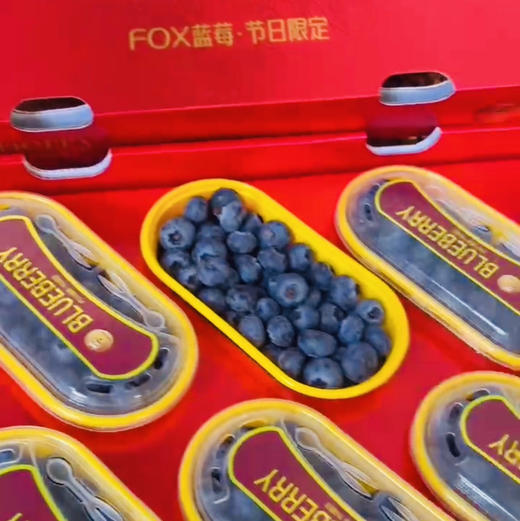 【蓝莓天花板｜空运到货】花香浓郁•18mm+•超甜脆爽云南L25蓝莓品种金砖6合1装200g×6盒（共1.2kg）✅ 果分足，嘎嘎绿。超新鲜。 商品图10