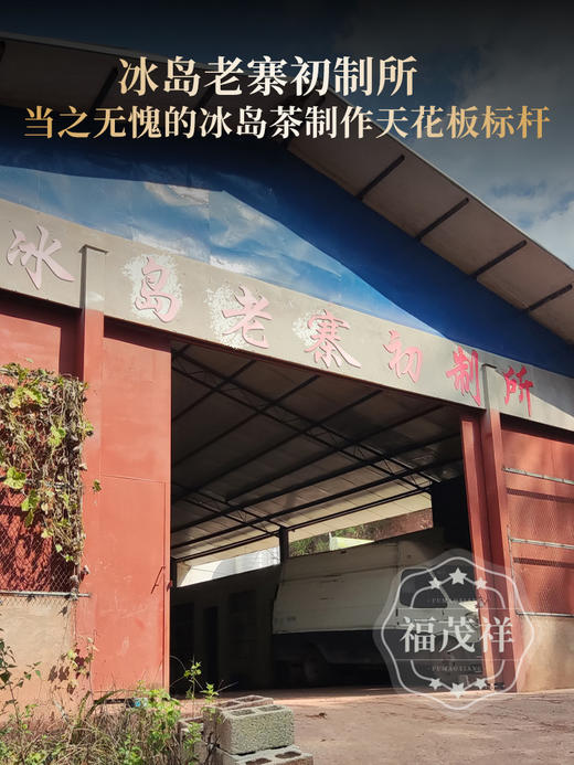 2026年春茶【冰岛老寨】古树茶，临沧茶区冰岛老寨古茶园核心茶地古树茶200克普洱生茶 商品图3