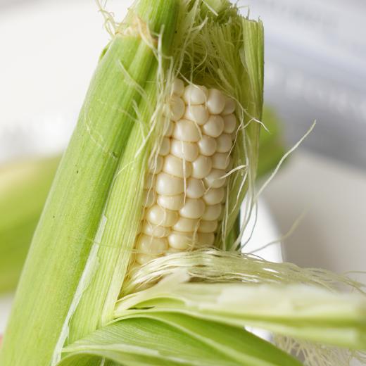 【 斌哥优选】鲜食牛奶水果玉米。好吃到惊呆了，籽粒饱满脆嫩，多汁香甜，一株只留一根玉米，把最好的给你！请一定生吃试试~ 商品图3