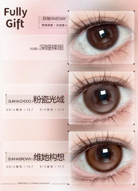 fullygift日抛 维她构想/粉瓷光域 14.5mm 日抛无售后！！棕