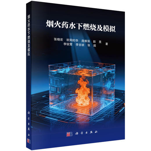 烟火药水下燃烧及模拟 商品图0