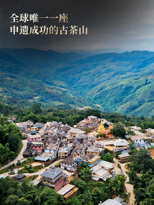 【景迈】2026年春茶预售，景迈山全球唯一一座申遗成功的古茶山，普洱香妃 王者之香 200克/饼5饼/提 商品图5