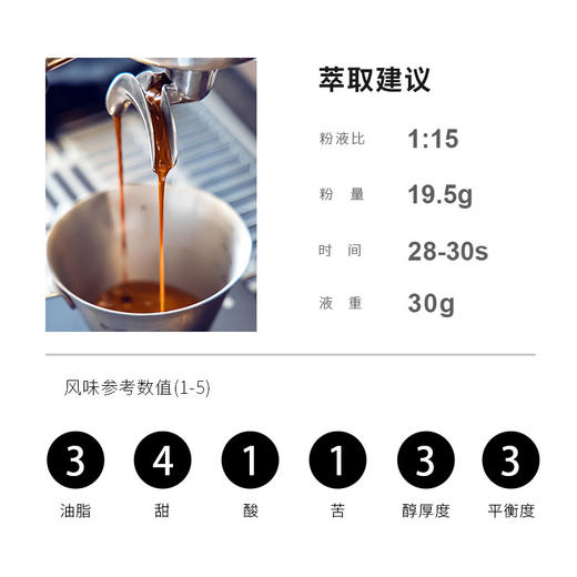 云南SOE 保山老地基庄园卡蒂姆红酒日晒精品意式咖啡豆/粉 商品图2