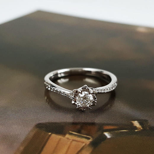 DRAU750白金时尚设计款0.18克拉钻石戒指9号（戒圈可改）030226NJT05 商品图5