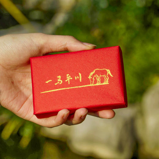 马上转运// 限定 19年老熟普 2007年谭梅九九茶砖 宣纸手工包装 商品图2