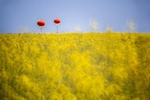 水墨江南·光影寻踪 镇江金山寺+扬州瘦西湖+兴化垛田油菜花+野鹿荡盐城5天 商品图1