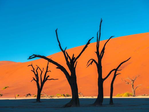 南部非洲四国：津巴布韦、赞比亚、博茨瓦纳、纳米比亚20天精华摄影团 商品图11