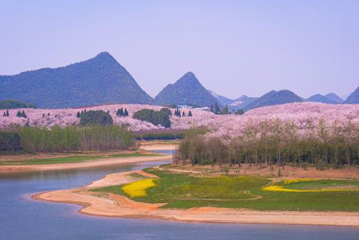 贵州平坝樱花、黄蜡樱花、金海雪山、青岩古镇、字龙田油菜花5天 商品图1
