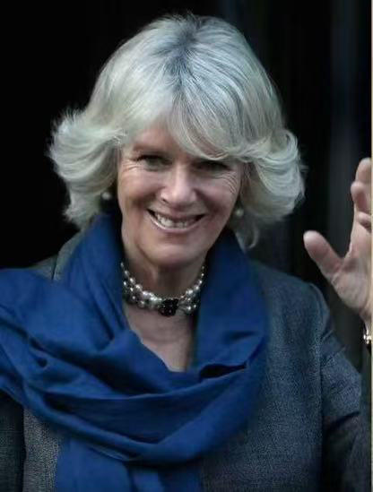 Pashmina羊绒围巾 克什米尔披肩       150克。 商品图13