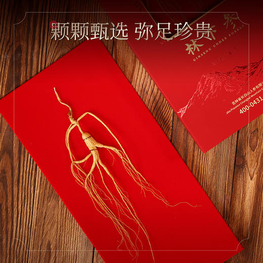 热售【林下参开窗礼盒】长白山人参林下山参开窗礼盒3g/4g/5g 商品图1